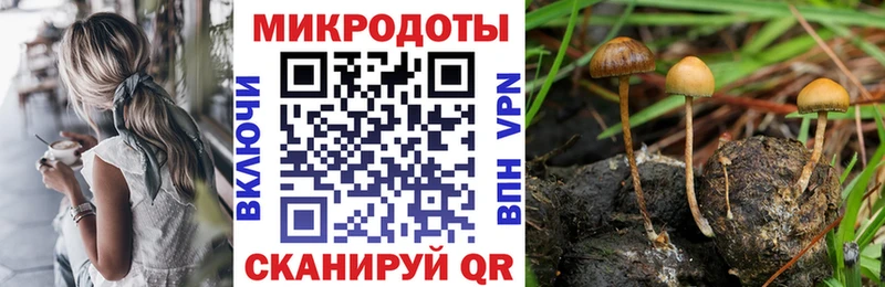 закладка  ОМГ ОМГ ТОР  Псилоцибиновые грибы Psilocybe  Шебекино 